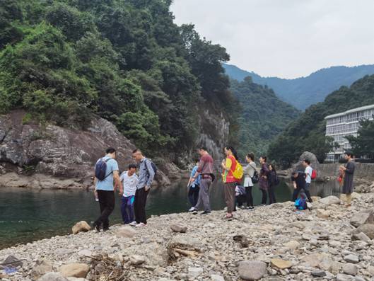 73ff2c81824e869c8f2d376a25f6411